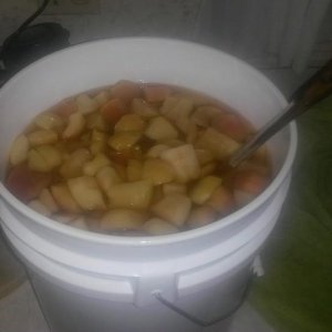 apple wine
