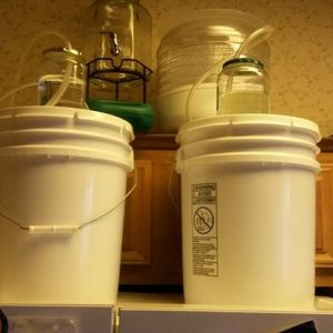 Primary ferment