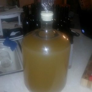 Apricot wine