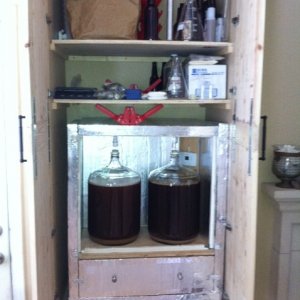 Fermentor cooler