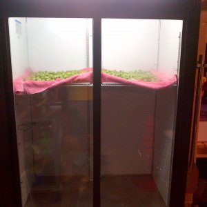 Hop Fridge
