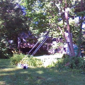 trellis