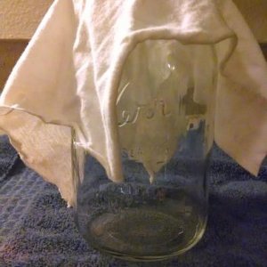 Step 7: Cover jar with cloth to prevent contamination
