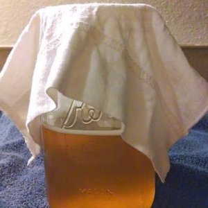 Step 11: Cover filled jar with cloth