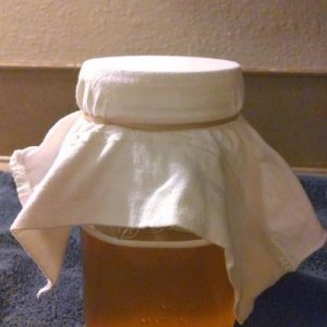 Step 12: Secure cloth over jar with rubberband