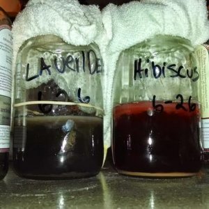 Final results using flavored GT as an example