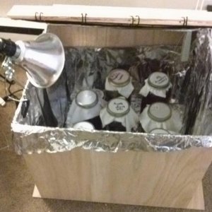 Use a 43 watt halogen bulb
