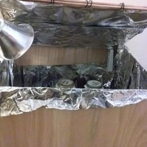 Use a 43 watt halogen bulb