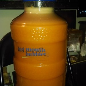 Apricot Wine - Agave Nectar