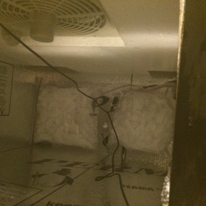 Ice Chamber