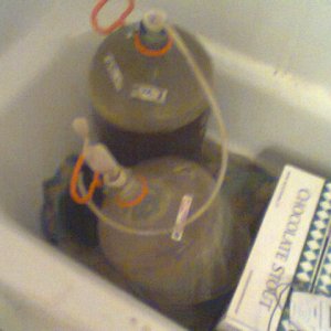 Carboy sheared
