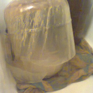 Carboy sheared