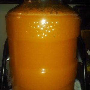 Day 2 - fermentation