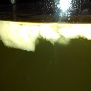 Is this bad?