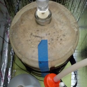 Fermenting