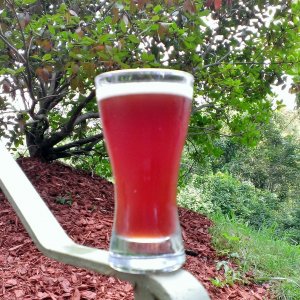 Dark Blueberry Wheat