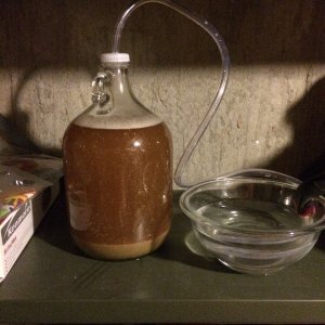 Blonde ale in fermente