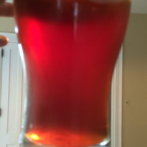 Irish red ale