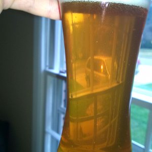 clear beer draught