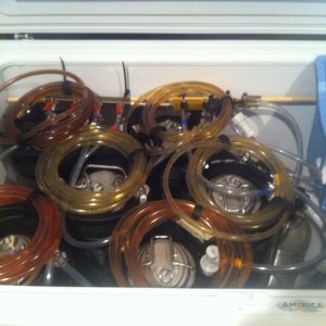 keezer