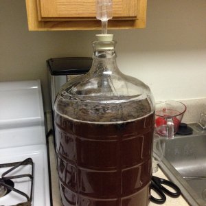 blueberry pomegranate mead