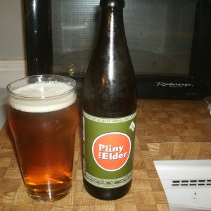 Pliny The Elder