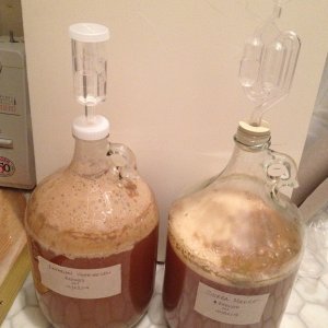 Fermenting quietly...