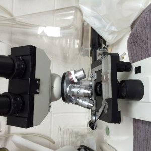 Microscope for Yeast Counting