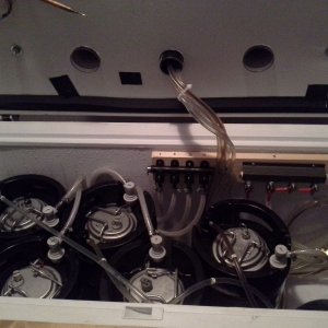KT keezer inside