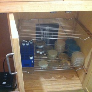 Incubator