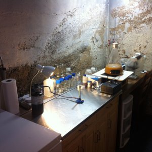 lab