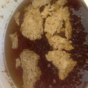 05 Yeast at 67 degrees