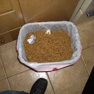 Easy Partial Mash Brewing