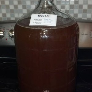 Cream Ale