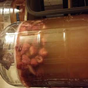 Strawberry Blonde Ale