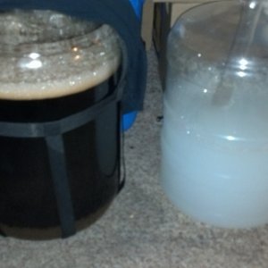 Irish Stout