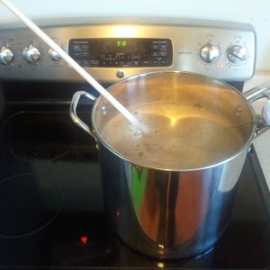 5 gallon SS kettle