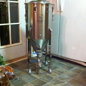 SS Brew Tech 14 gallon