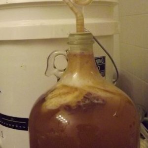 Joe's Ancient Orange Mead