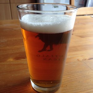 Cream Ale