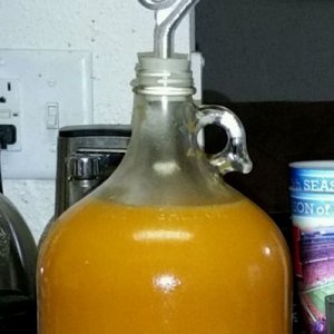 Naked Mango Mead