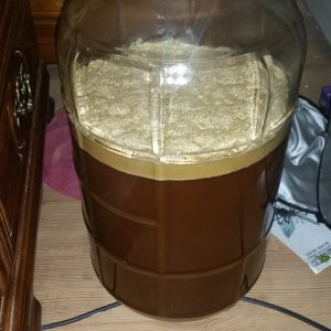 Fermentation!