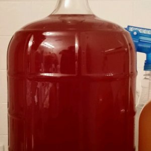 pomegranate Mead