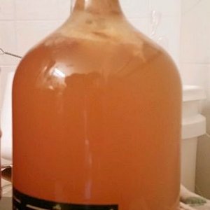 Joe's Ancient Orange Mead