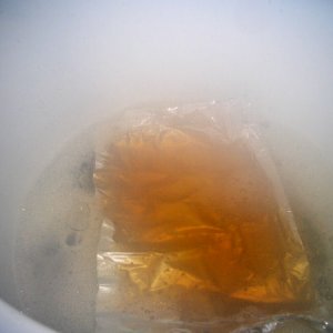 55 Gallon Brewday
