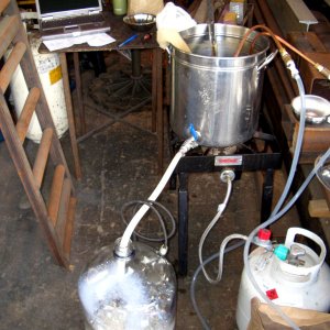 55 Gallon Brewday