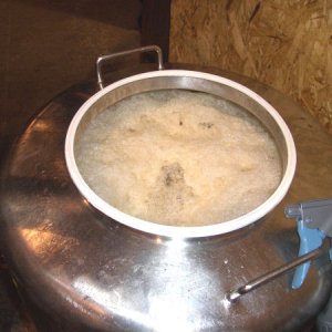 55 Gallon Brewday
