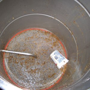 55 Gallon Brewday