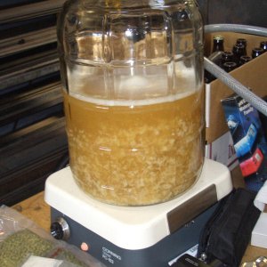 55 Gallon Brewday