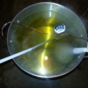 we have wort!